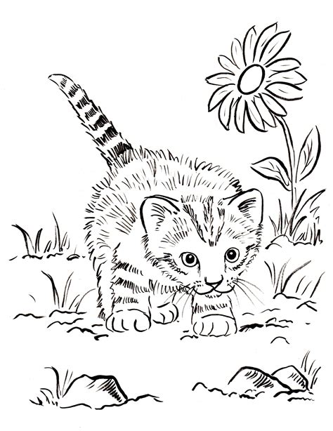 kitten coloring pages to print